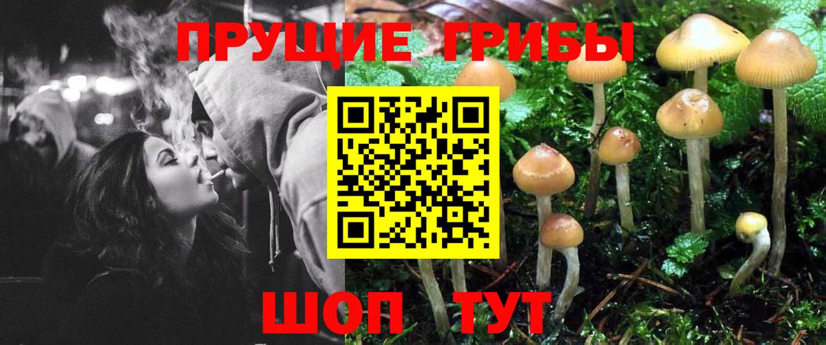 Галлюциногенные грибы Magic Shrooms  Галлюциногенные грибы ЛСД  Вход с VPN  закладки  Унеча 