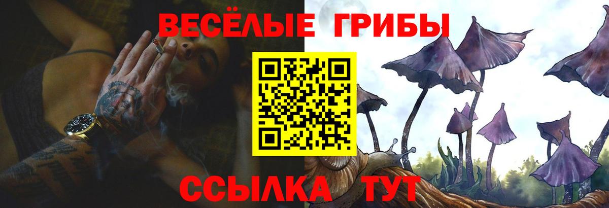 Псилоцибиновые грибы Magic Shrooms Унеча